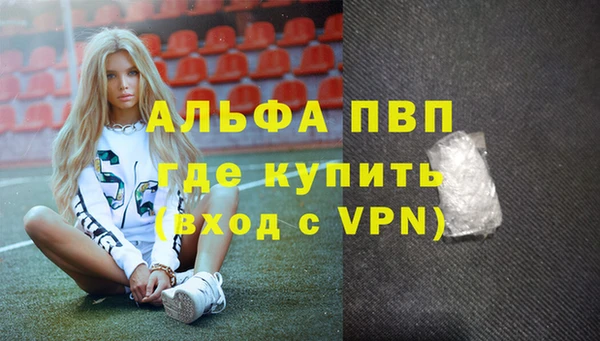 стаф Аркадак
