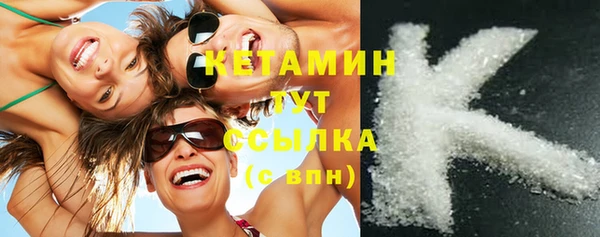 стаф Аркадак
